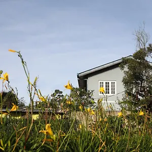 Pedro View Accommodatie bij particulieren